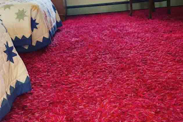 Using Carpet Anywhere