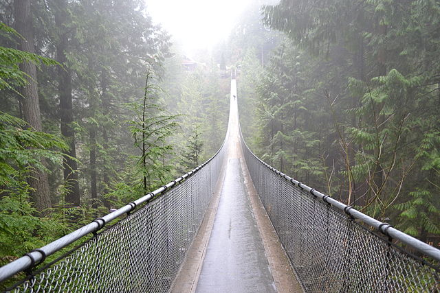 Capilano Suspension Bridge In Canada