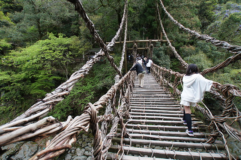 Iya Kazurabashi Bridge In Japan