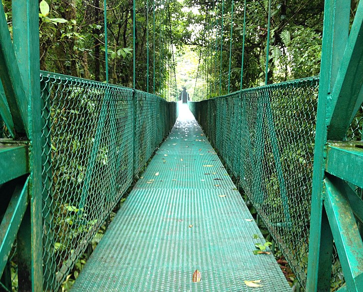 Montenegro Rainforest In Costa Rica