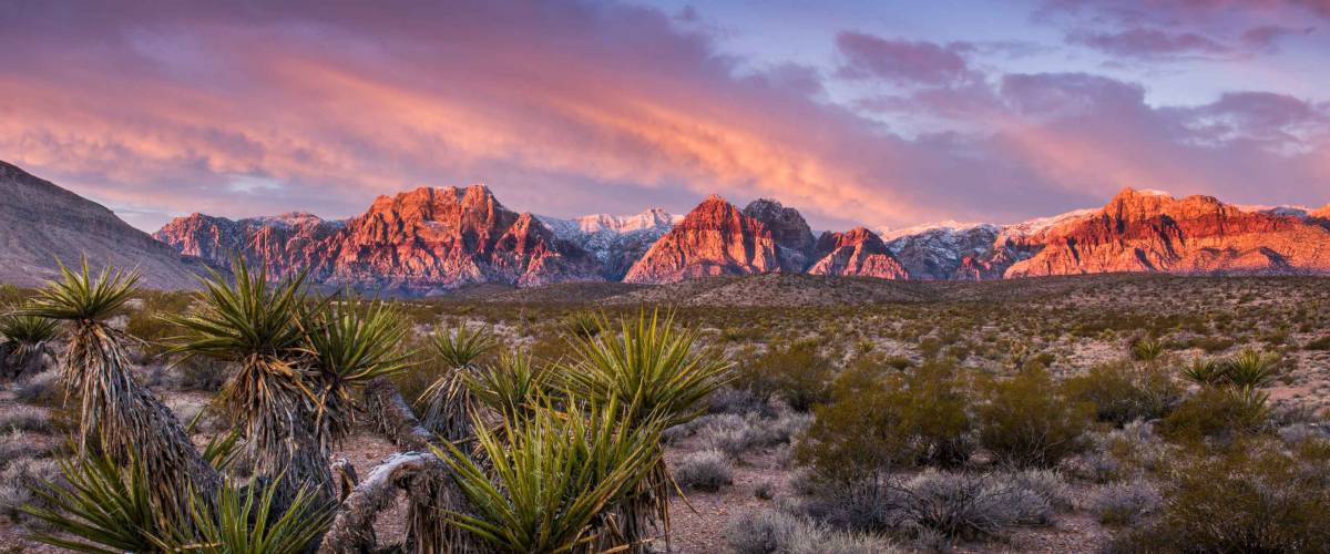 Sunrise at Red Rock Canyon, Nevada