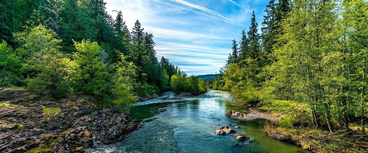 A bright blue river flowing through an Oregon forest