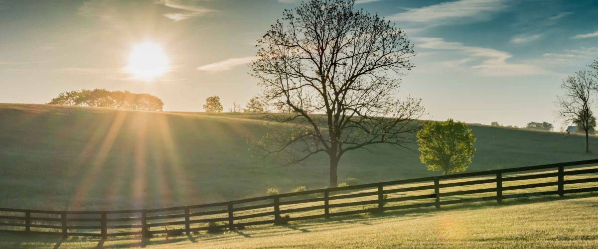 Sun Shines Over Rolling Kentucky Field at Dawn