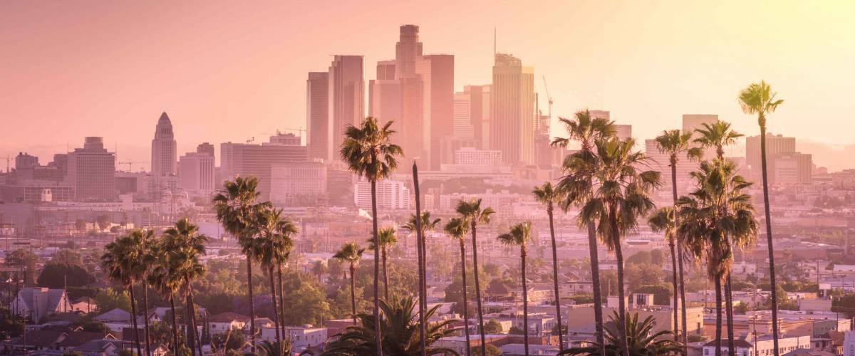 Beautiful sunset of Los Angeles downtown skyline and palm trees in foreground