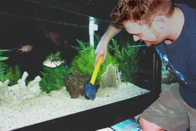 aquariphiles.com