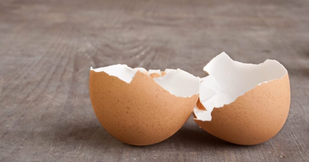 australianeggs.org.au