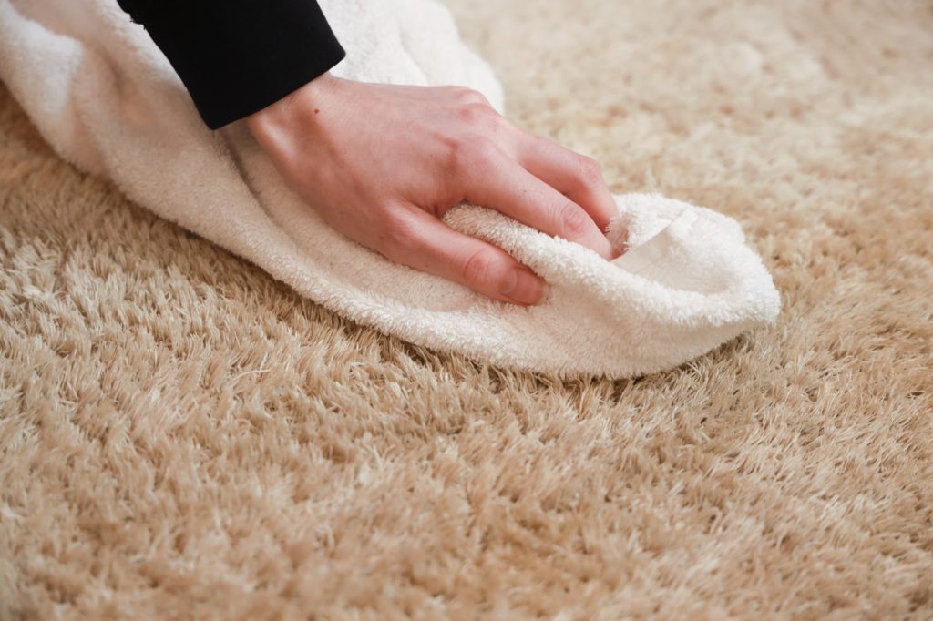 carpet cleaning